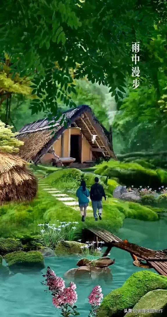 月光影视